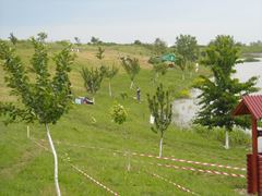CN-2010-Cetariu